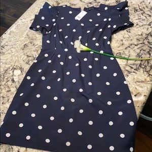 Banana republic- Navy & White Polka Dot dress